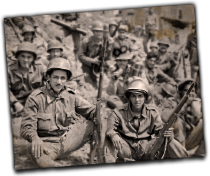 GFX_report_event_BRA_smoking_snakes